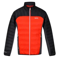 REGATTA HALTON V CAJUNORA/BLK 22